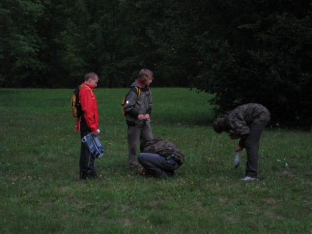 Tečaj poznavanja rastlin za prehrano in zdrav - foto