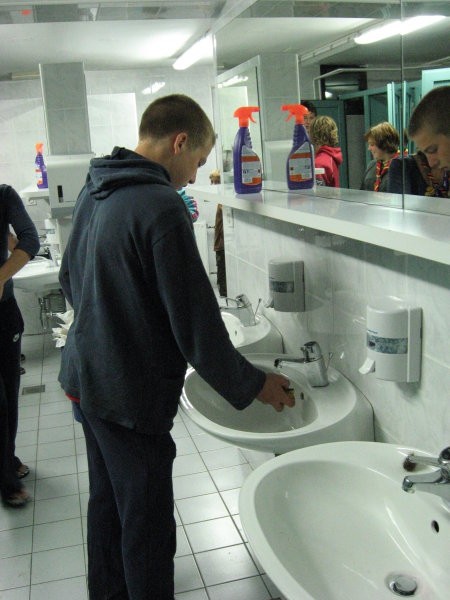 Tečaj poznavanja rastlin za prehrano in zdrav - foto povečava