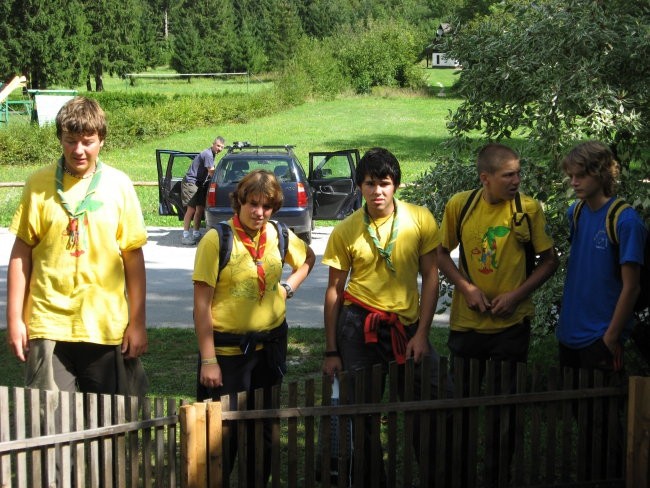Tečaj poznavanja rastlin za prehrano in zdrav - foto povečava