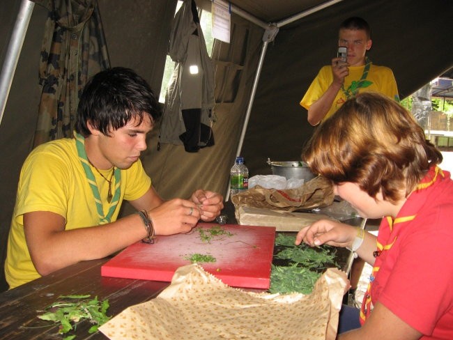 Tečaj poznavanja rastlin za prehrano in zdrav - foto povečava