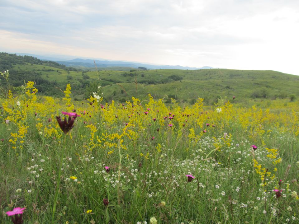 Transilvanija 2012 - foto povečava