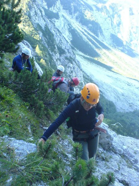 V ruševju med nabiranjem klopov.