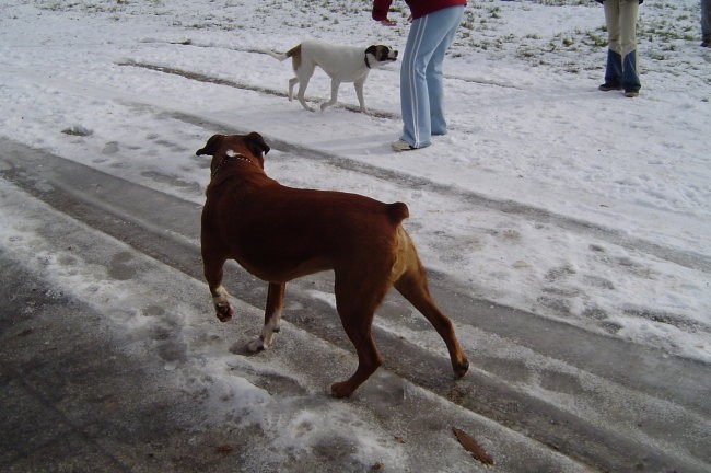 Otočec - 23. januar 2005 - foto povečava