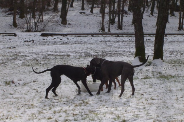 Otočec - 23. januar 2005 - foto