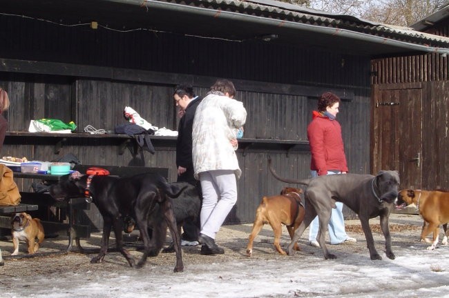 Otočec - 23. januar 2005 - foto povečava
