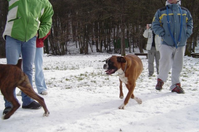 Otočec - 23. januar 2005 - foto