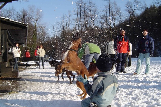 Otočec - 30. januar 2005 - foto povečava