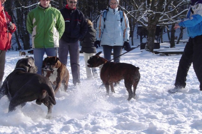 Otočec - 30. januar 2005 - foto povečava