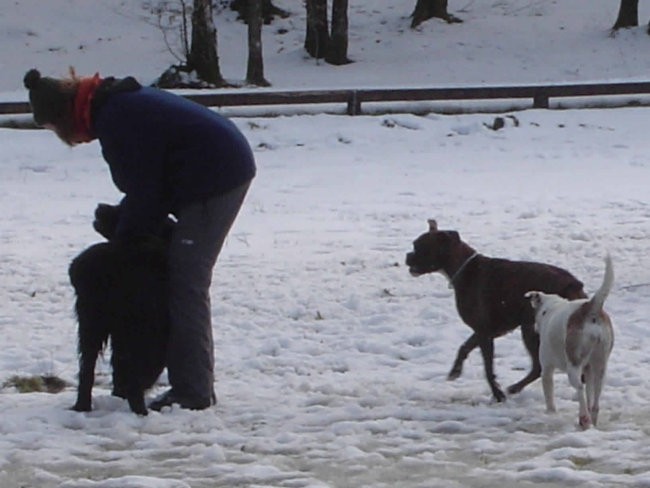 Otočec - 13. februar 2005 - foto povečava