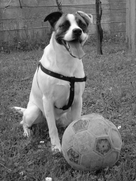 To je moja žoga!