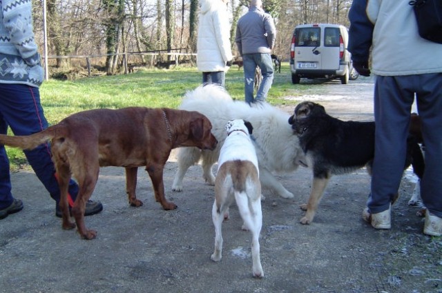 Srečanje - Otočec, jan. '05 - foto
