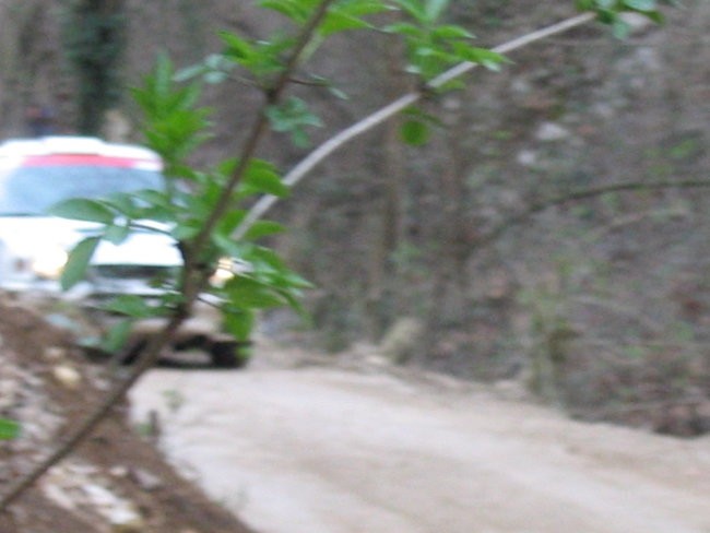 4.Rally Prealpi Trevigiane Terra - foto povečava