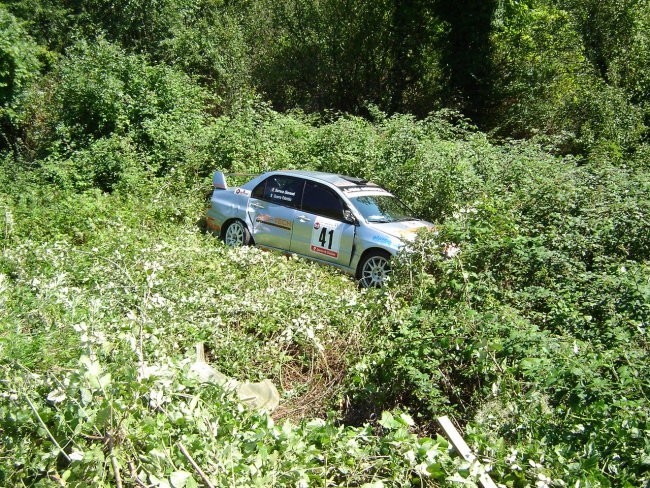 42. Rally Alpi Orientali - foto povečava