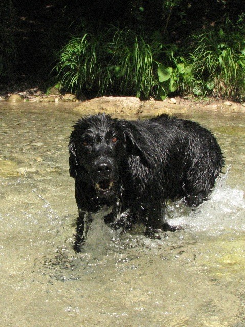 Lady - foto povečava