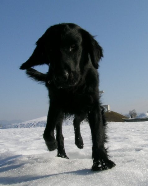 Lady - foto povečava