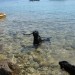 rajska plaža