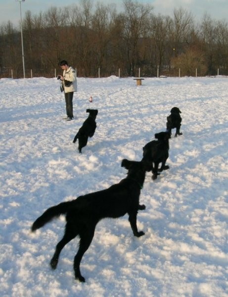 Zimsko flatovsko srečanje - 21.1.2006 - foto