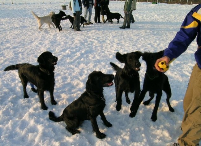 Zimsko flatovsko srečanje - 21.1.2006 - foto povečava