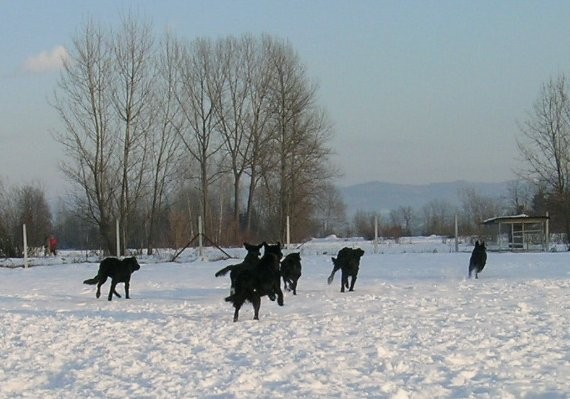 Zimsko flatovsko srečanje - 21.1.2006 - foto