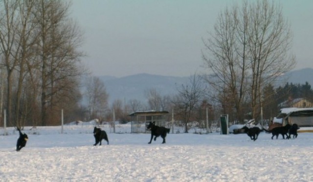 Zimsko flatovsko srečanje - 21.1.2006 - foto