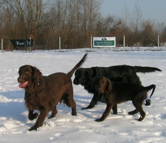 Benka, Ajka in Odi