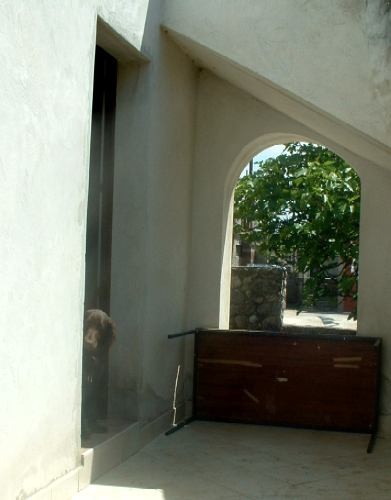 Murter - foto povečava