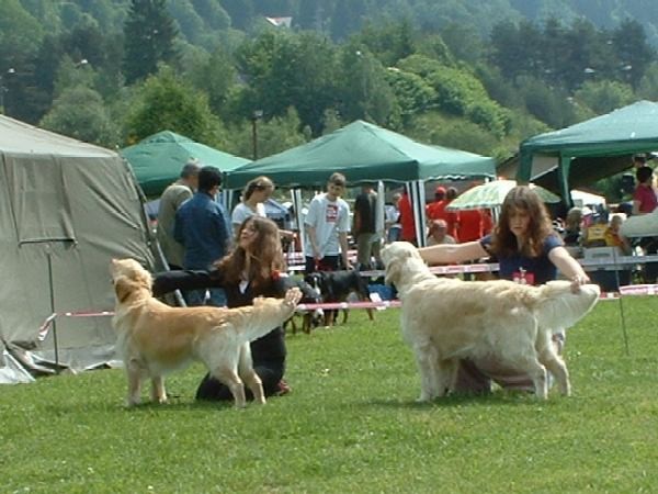 Hrušica - foto povečava