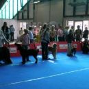 Lady v junior handlingu