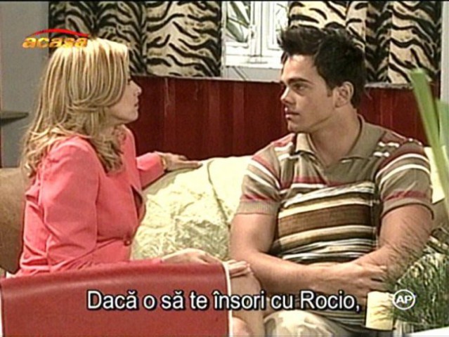 AMOR A PALOS 60cap. - foto