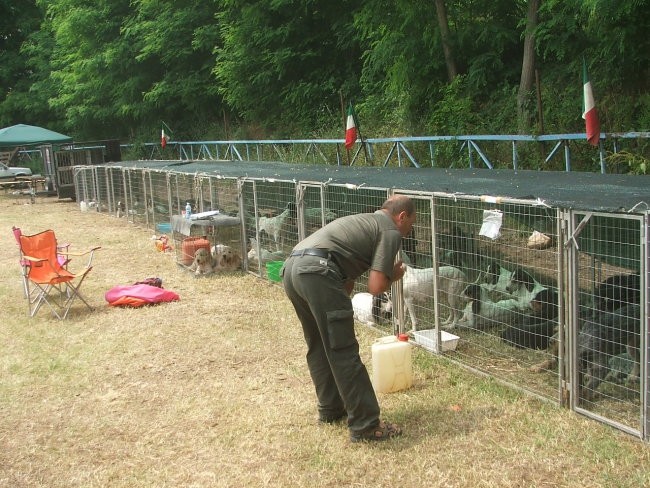 Razstave - foto povečava