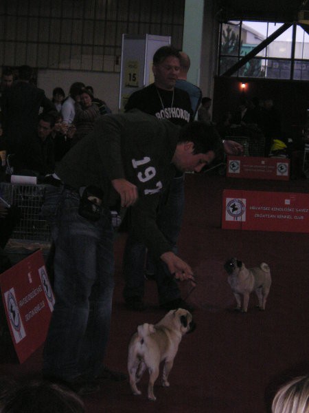 CACIB 2008 - foto