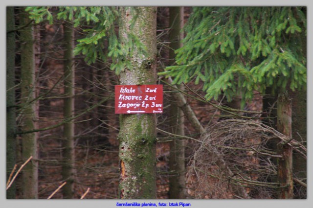 čemšeniška planina mo pd medvode - foto