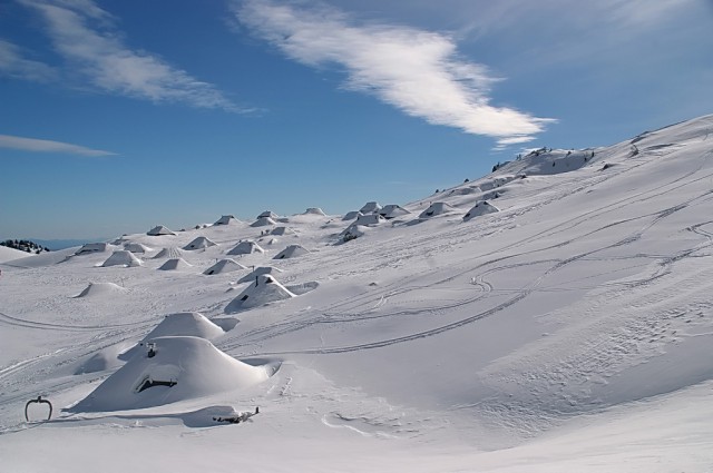 Velika planina - foto