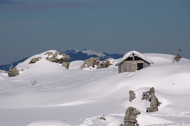 Velika planina - foto