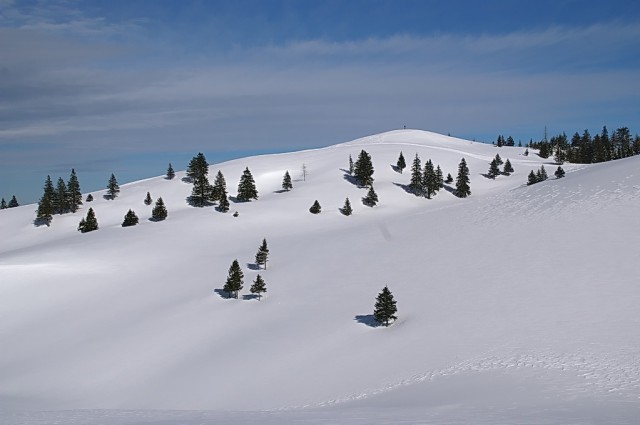 Velika planina - foto