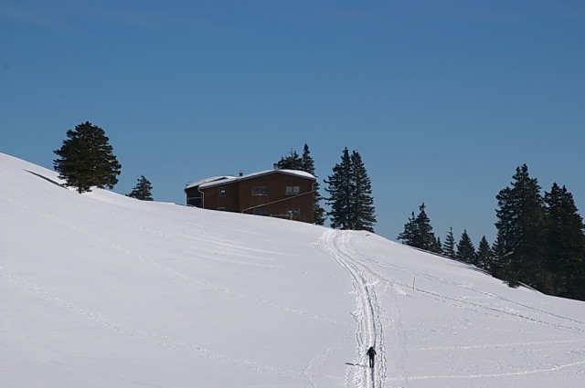 Velika planina - foto