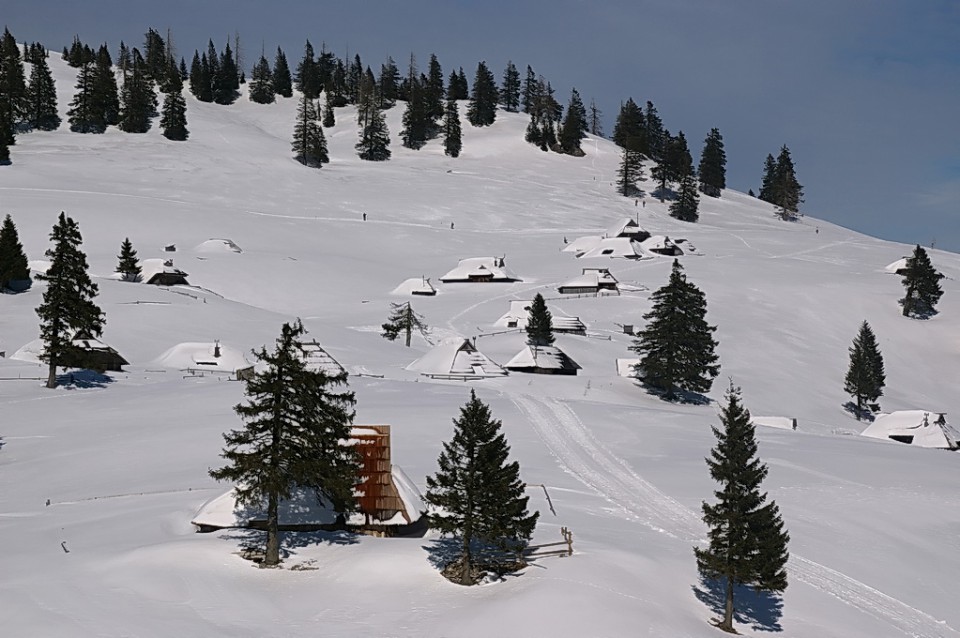 Velika planina - foto povečava