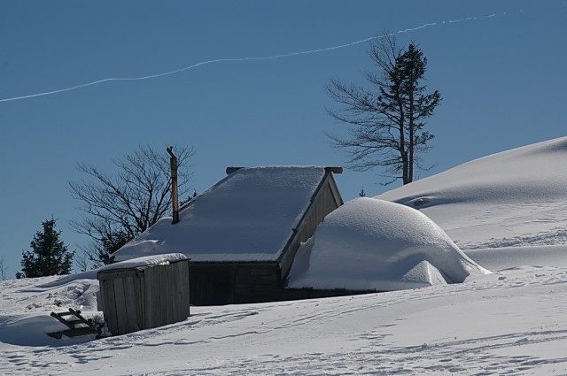 Velika planina - foto