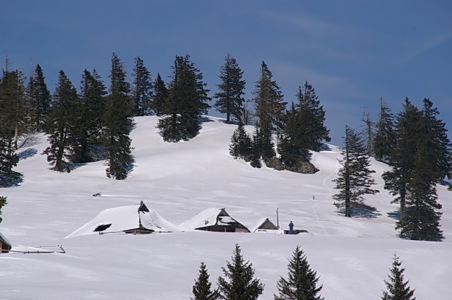 Velika planina - foto