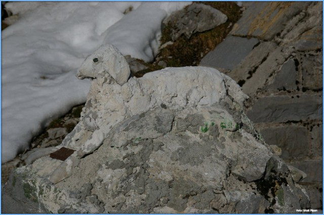 Zanimiva ovca iz betona