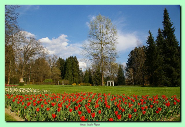 Provomajski prazniki - foto