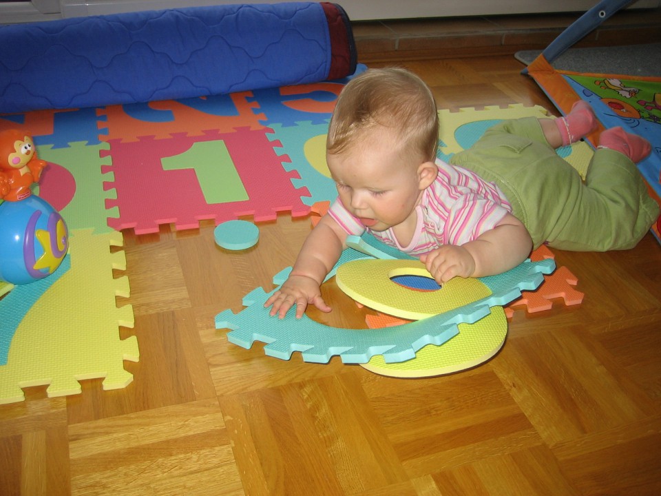 puzzle so zakon