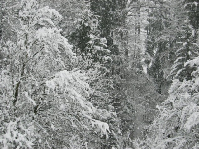 Taček-pozimi-2008-velikonočni prazniki - foto