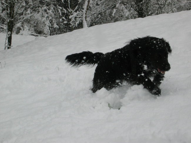 Taček-pozimi-2008-velikonočni prazniki - foto povečava