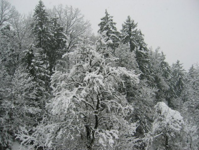 Taček-pozimi-2008-velikonočni prazniki - foto