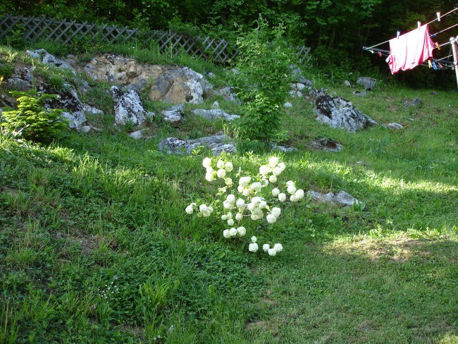 Dom pomladi 2008 - foto povečava
