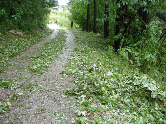 Toča 23.08.2008 Podvin - foto