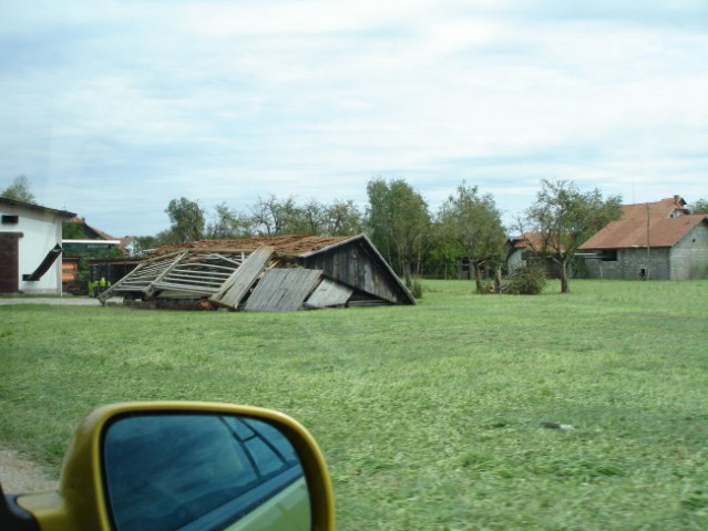 Rože in toča - foto