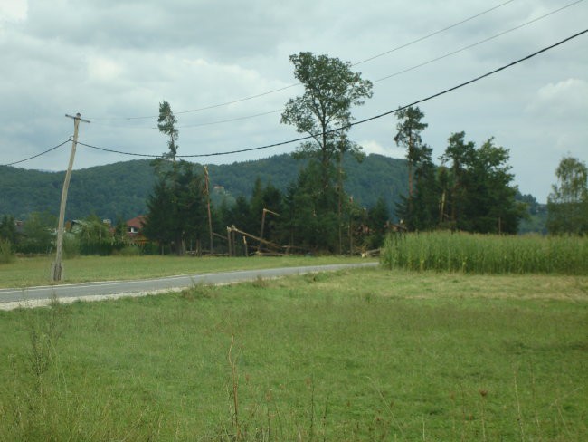 Rože in toča - foto povečava