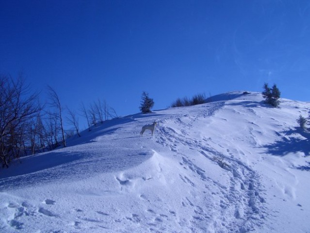 Blegoš- februar 2006 - foto